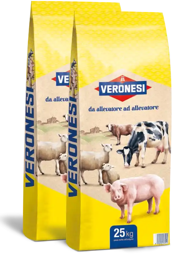 Mangime per suini, allevamento suini, Mangimi Veronesi