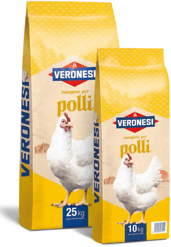 Mangime per polli, allevamento polli, Mangimi Veronesi