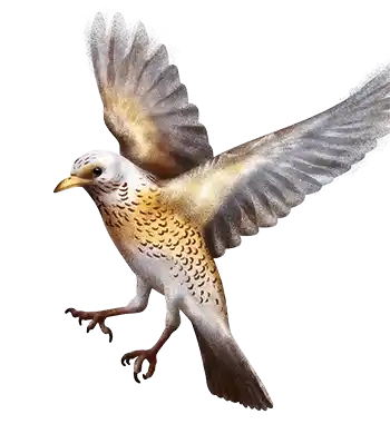 Mangime per uccelli, allevamento uccelli, Mangimi Veronesi