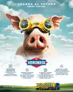 Veronesi-Advertising-SUINO